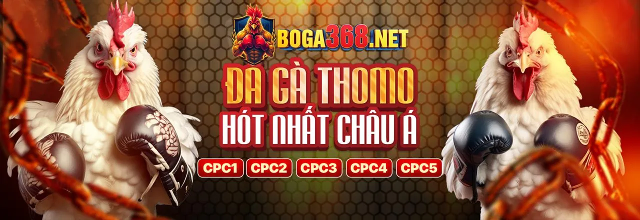 Các loại kèo phụ hấp dẫn tại fb88 mn